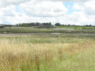 Racecourse Lagoon