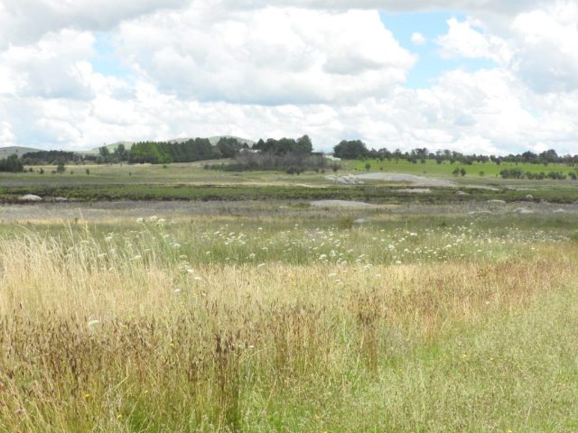 Racecourse Lagoon