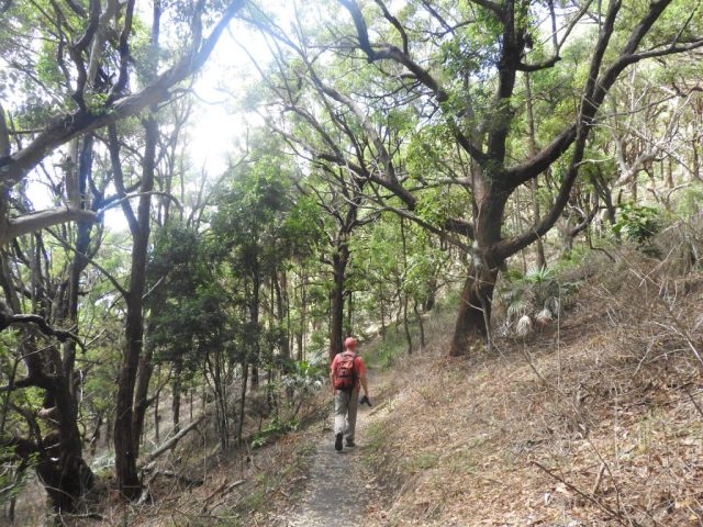 PB on the Booti walking track