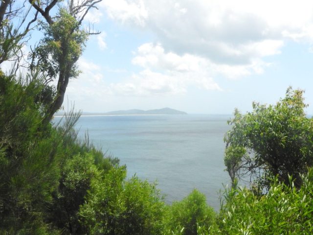 View from the track