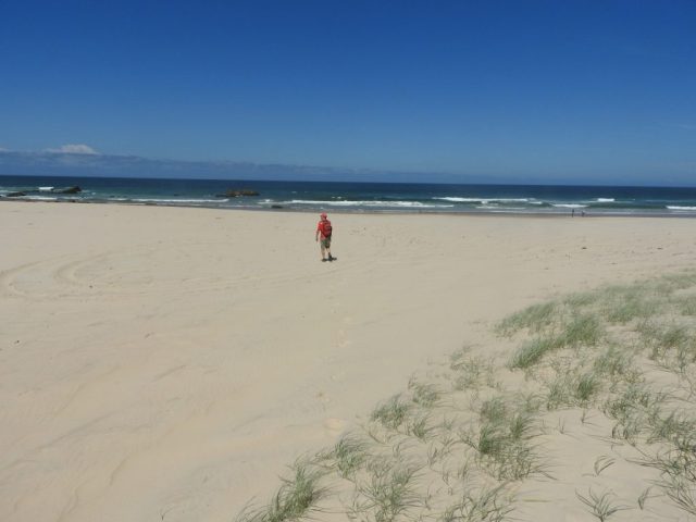 PB arrives at Kylies Beach