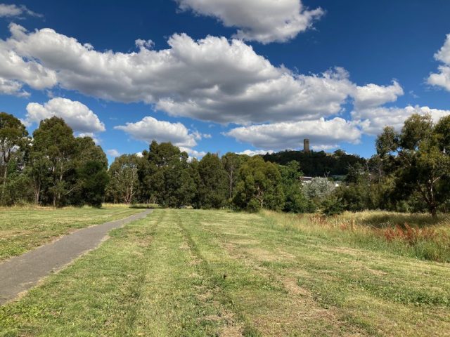 Riverside walk in Goulburn Wetlands