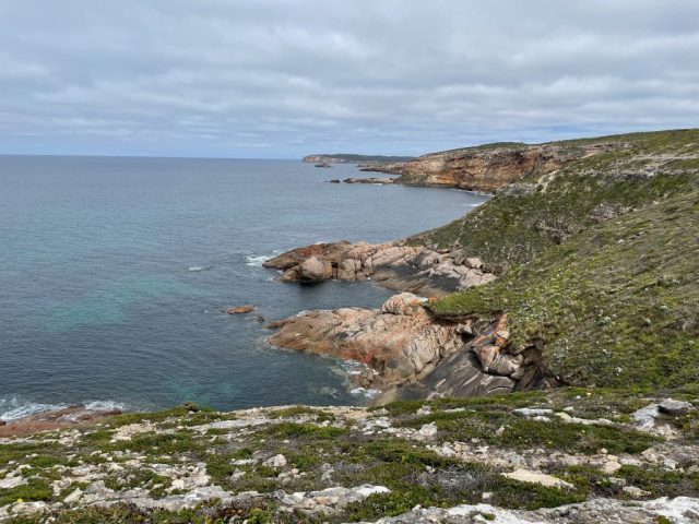 View of the coast from the Stenhouse Bay Lookout Walk