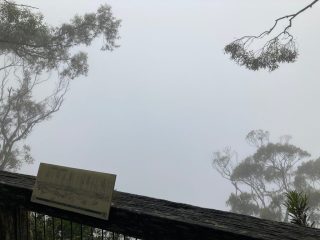 The view from Point Lookout