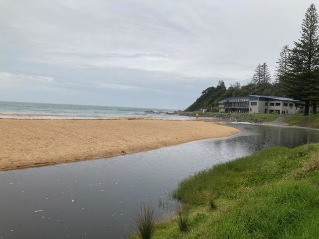 Black Head SLSC