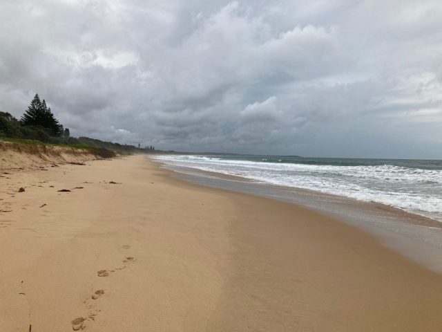 Looking north along Diamond Beach