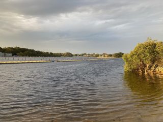 Oyster farms on the Coolongolook River