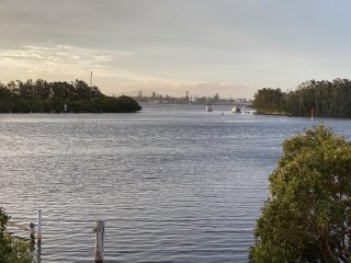 On the banks of the Coolongolook River