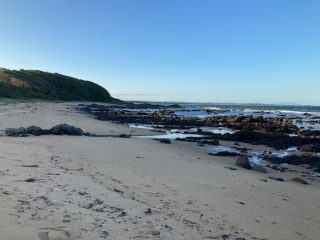 Shelly Beach