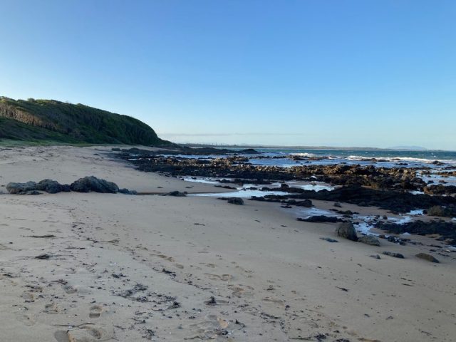 Shelly Beach