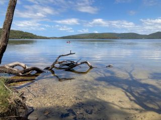 The Lakeside Track in sunny weather