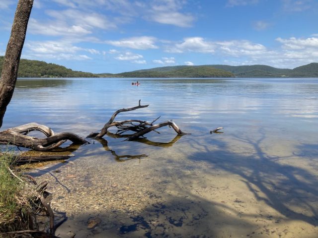 The Lakeside Track in sunny weather