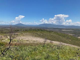 On the Diamond Head Loop Walk On the Diamond Head Loop Walk