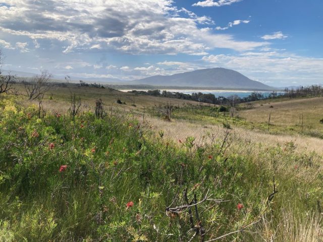 View from the Mermaid Lookout Track