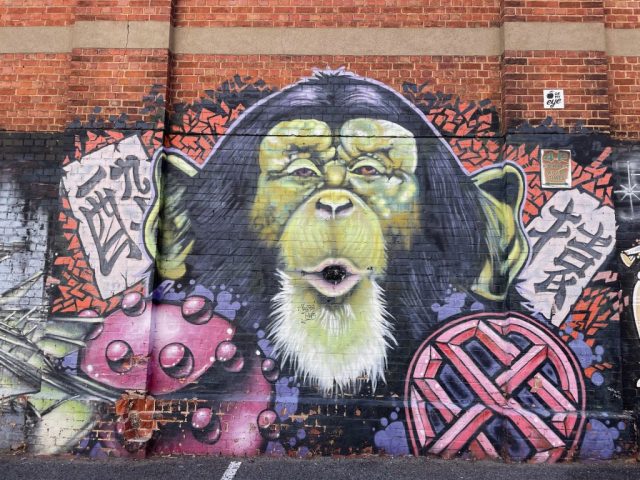 Street art in Philip Street, Adelaide