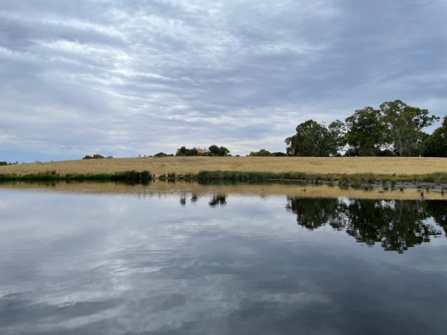Victoria Park Wetlands