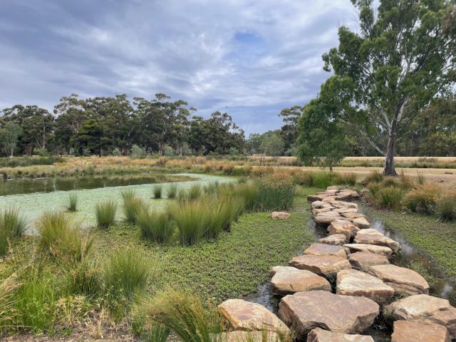 Stone causeway in Victoria Park Wetlands