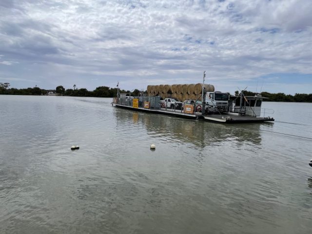 The ferry across the Murray River at Wellington