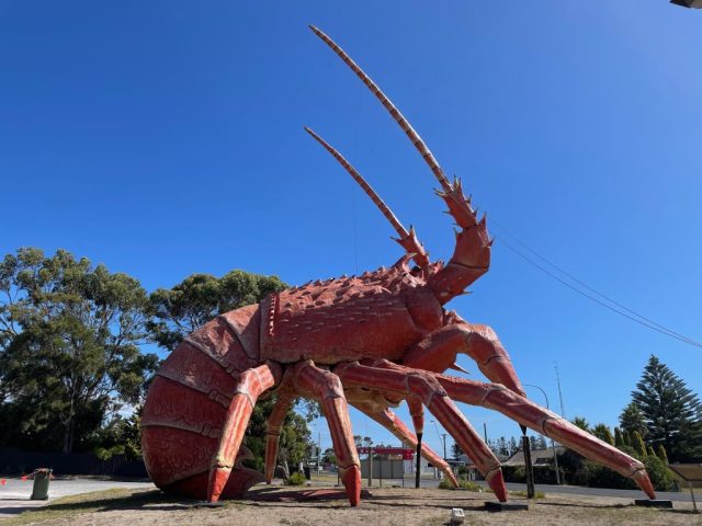 The Big Lobster in Kingston SE