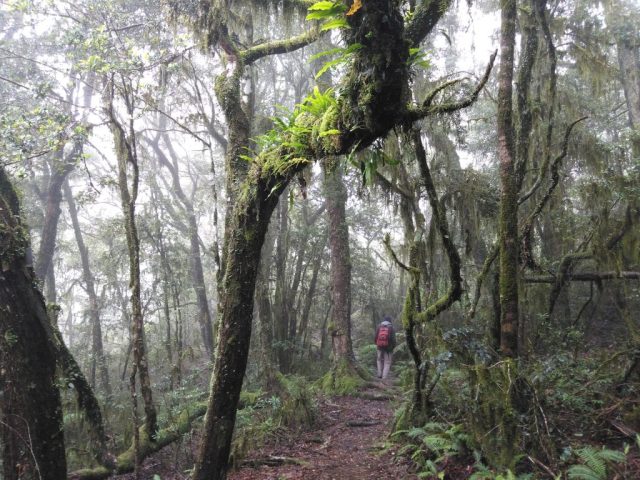 PB on the trail
