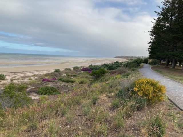 Walking path near the Esplanade, Port Vincent