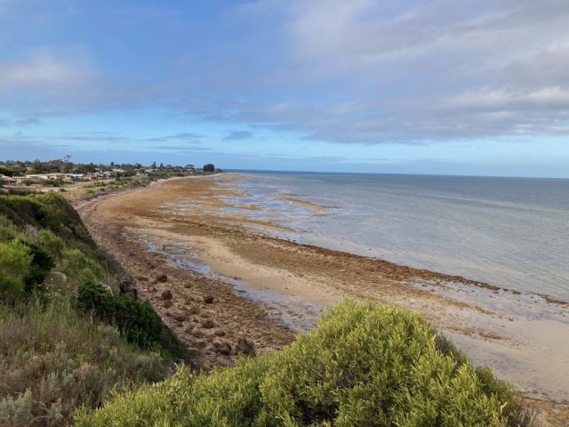 Looking down on Port Vincent from the south
