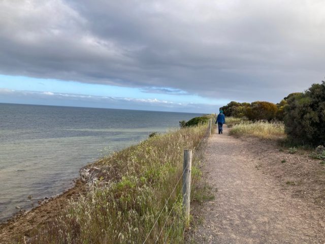 CC on the coastal trail south of the Esplanade