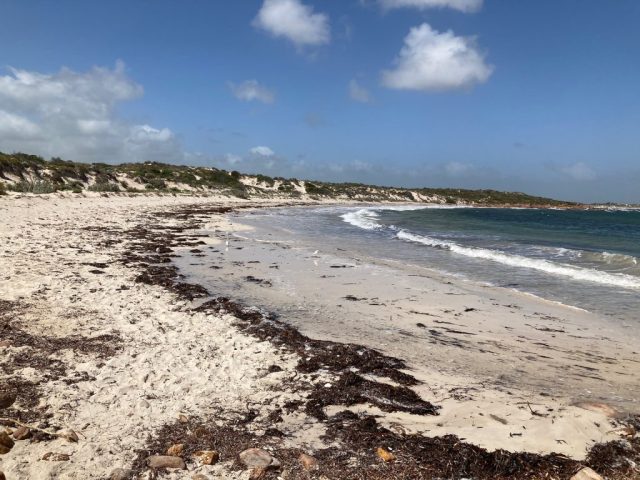 Rifle Butts Beach
