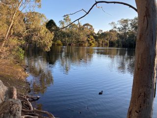 Playford Lake in Belair National Park