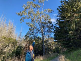 CC spots her first Koala