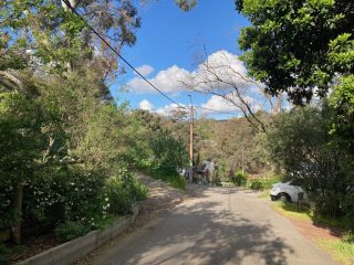 Road leading to our driveway