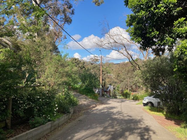 Road leading to our driveway