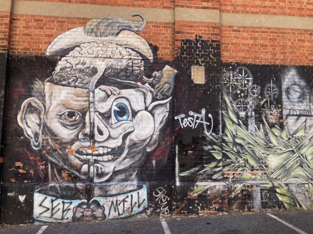 More street art in Philip Street, Adelaide