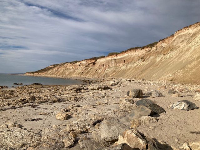 Snapper Point