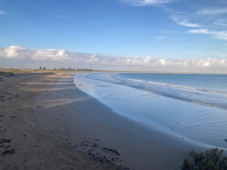 The coast at Beachport