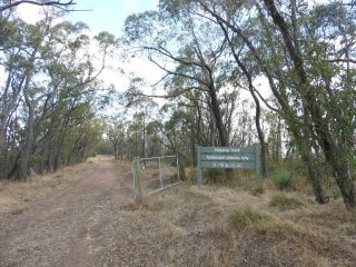 Start of the Ridgetop Track
