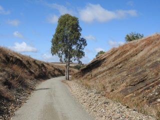 Riesling Trail between Leasingham and Auburn