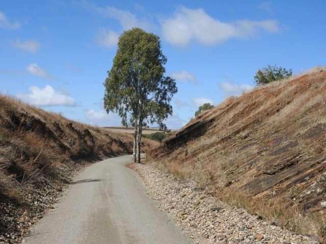 Riesling Trail between Leasingham and Auburn