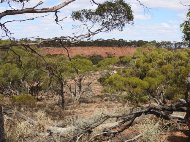 View of a 'Red Bank'