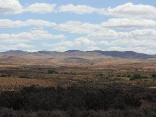 Looking west from the park