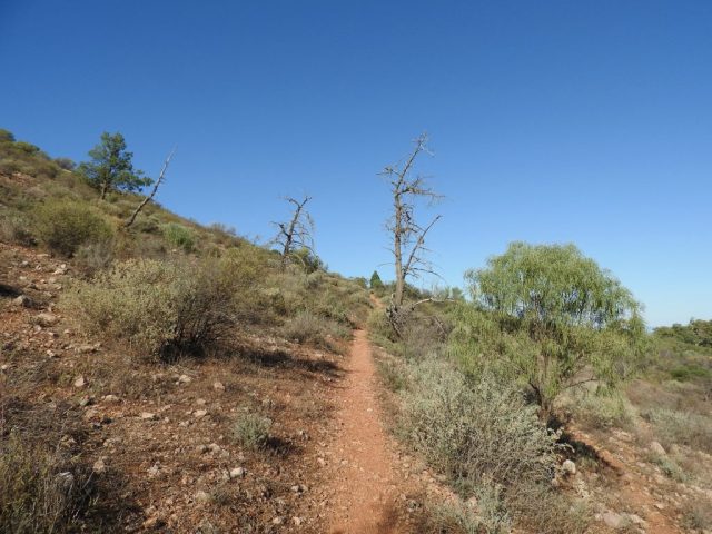 Heading uphill on the Daveys Gully Hike