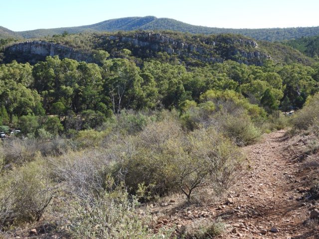 View from the Daveys Gully Hike