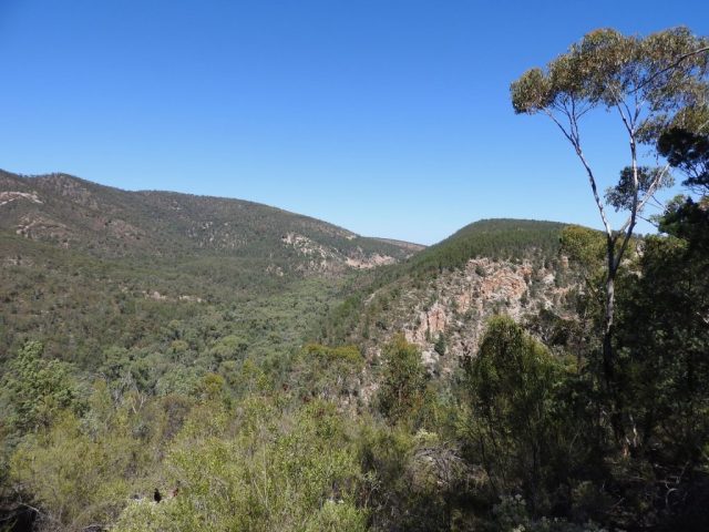 View from Sug­ar Gum Look­out
