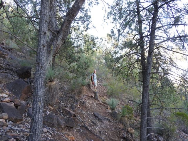 PB on the trail in Warren Gorge