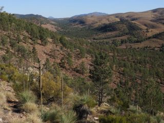 Another view from the ridge