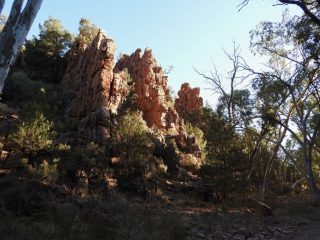 The rocks that the yellow-footed rock wallabies live in