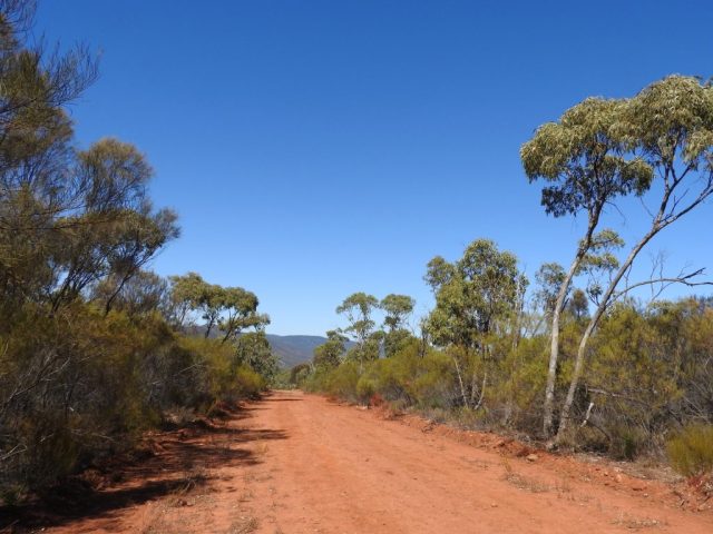 The Alligator Gorge hike starts along a fire trail
