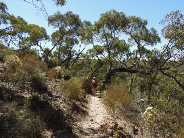 PB starts the descent into the gorge