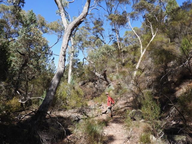 PB on the trail