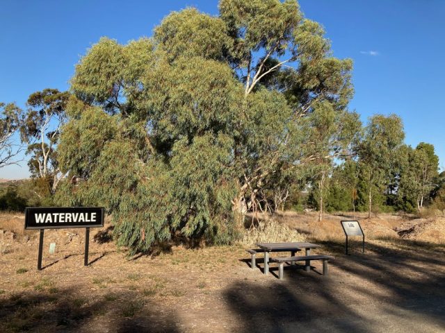 Picnic table near Watervale